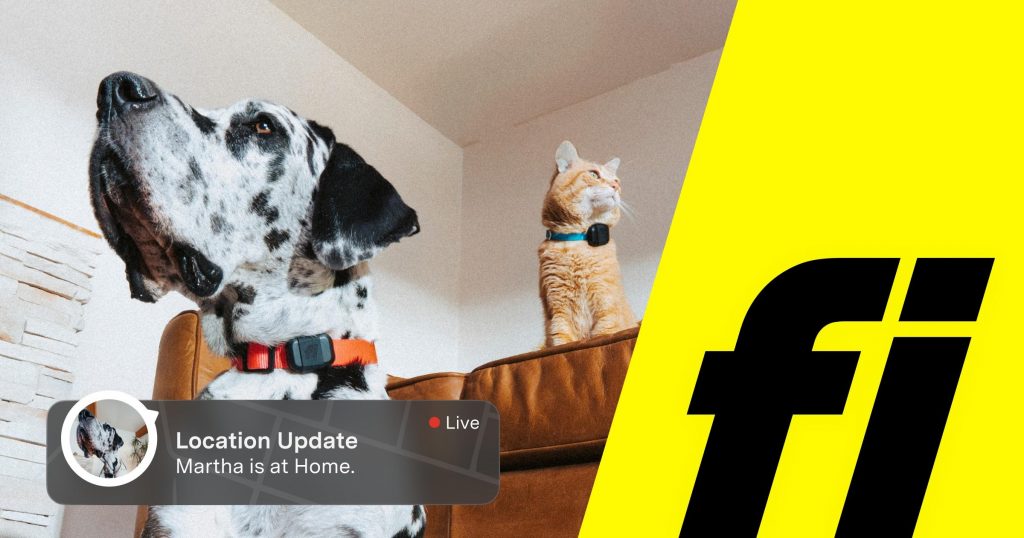 Fi Series 3 smart GPS dog collar in use