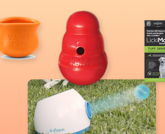 Top 10 Dog Enrichment Essentials hero collage