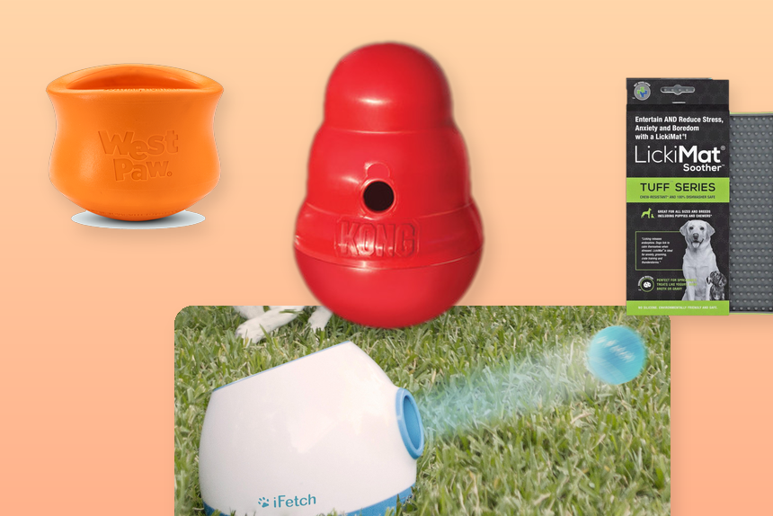 Top 10 Dog Enrichment Essentials