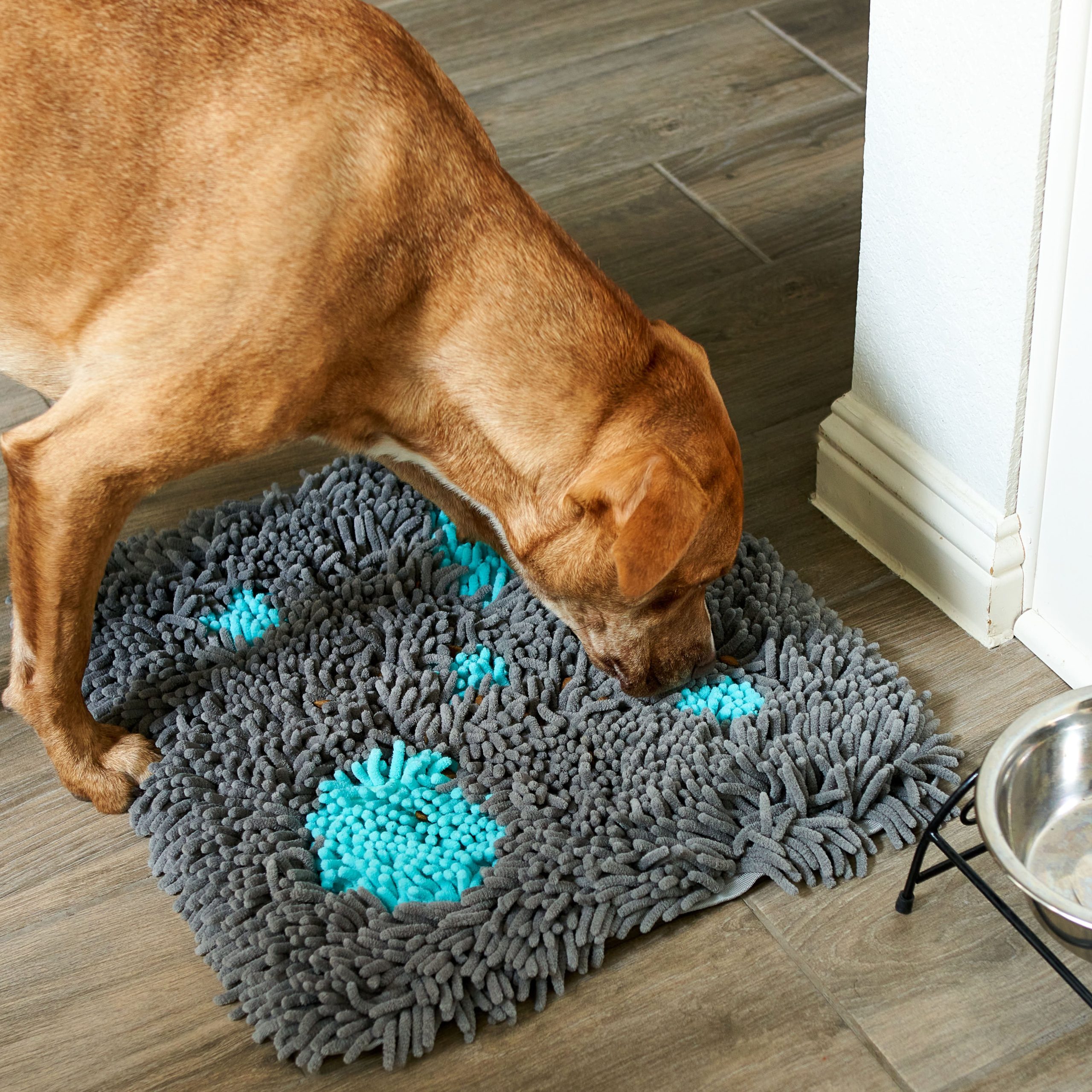 Pet Parents Forager snuffle mat with dog sniffing for hidden treats