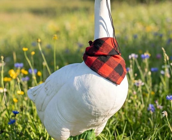 Top 10 Fall Porch Goose Accessories